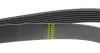 Ремінь генератора Toyota Avensis 2.0 D-4D 08-18 HUTCHINSON 1370K7 (фото 3)