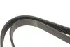 Ремень генератора Citroen Berlingo/Fiat Scudo 1.9D (6PK1440) HUTCHINSON 1440 K 6 (фото 3)