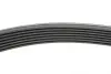 Ремень генератора BMW 5 (E39)/7 (E38) 3.5i/4.0i 93-04 HUTCHINSON 1626 K 7 (фото 2)