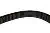 Ремінь генератора Audi 80/A6/A8 2.8 94-05/Ford Transit 2.5DI/TD 91-00 (6PK1630) HUTCHINSON 1630 K 6 (фото 4)