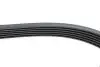 Ремінь генератора VW LT 2.8TDI 96KW/Ford Transit 2.0DI 00-14 (6PK1637) HUTCHINSON 1637 K 6 (фото 4)