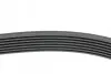 Ремінь генератора BMW 5 (E39)/7 (E38) 3.5i/4.0i 96-03 (7PK1635) HUTCHINSON 1637K7 (фото 2)