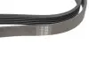 Ремень генератора VW LT 2.8TDI 96KW/Ford Transit 2.0DI 00- (6PK1640) HUTCHINSON 1640 K 6 (фото 4)