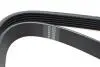 Ремінь генератора Fiat Scudo/Citroen Berlingo/VW Golf IV 1.8/1.9TDI 97- (6PK1660) HUTCHINSON 1660 K 6 (фото 2)