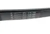 Ремінь генератора Fiat Scudo/Citroen Berlingo/VW Golf IV 1.8/1.9TDI 97- (6PK1660) HUTCHINSON 1660 K 6 (фото 3)