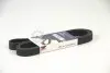 Ремень генератора Citroen Berlingo/Peugeot Partner 1.6HDI/Fiat Scudo 1.6D (6PK1710) HUTCHINSON 1710K6 (фото 1)