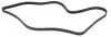 Ремінь генератора Ford Connect 1.8TDCi 06-14/Citroen C5 2.0HDi 00- (6PK1745) HUTCHINSON 1745K6 (фото 2)