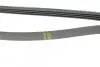 Ремень генератора Toyota Yaris 1.0 99-05 HUTCHINSON 1770K4 (фото 3)