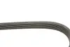 Ремень генератора Renault Master 2.2/2.5 dCi 00- (6PK1836) HUTCHINSON 1836K6 (фото 3)