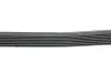 Ремень генератора Honda Accord VIII 2.0 I 08-/ Land Rover Range Rover II 3.9-4.6 94-02 HUTCHINSON 2080 K 7 (фото 2)