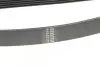 Ремень генератора Honda Accord VIII 2.0 I 08-/ Land Rover Range Rover II 3.9-4.6 94-02 HUTCHINSON 2080 K 7 (фото 3)