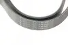 Ремень генератора Honda Accord VIII 2.0 I 08-/ Land Rover Range Rover II 3.9-4.6 94-02 HUTCHINSON 2080 K 7 (фото 4)