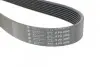 Ремень генератора Land Rover Range Rover Sport 2.7D 05-13 HUTCHINSON 2090 K 8 (фото 4)