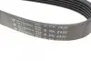 Ремень генератора Jeep Cherokee 2.8 CRD 08- (6PK2430) HUTCHINSON 2430 K 6 (фото 4)