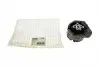 Подушка АКПП BMW 1 (F20/F21)/3 (F30/F80) 2.0-3.0 12- (N55/N57/B48/B58)(OE BMW внутри) HUTCHINSON 538B28 (фото 1)