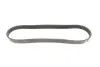Ремінь генератора Citroen Berlingo/Fiat Ducato 1.8/1.9D /Citroen Jumper 3.0HDI 96- (6PK1160) HUTCHINSON 848 SK 6 (фото 5)