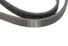 Ремень генератора Ford Transit 2.2TDCI (4PK925) HUTCHINSON 925K4 (фото 5)