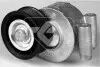 Ролик натяжний Ford C-Max (07-10), Focus II (05-08) HUTCHINSON T0316 (фото 1)