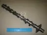 Распредвал впускний в зборі (Mobis) Hyundai/Kia/Mobis 2410026601 (фото 1)