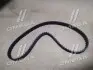 Ремінь ГРМ Hyundai Accent 1.4/1.5i/1.6i 94-12 Hyundai/Kia/Mobis 2431226050 (фото 5)