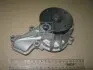 Насос Водяний (Mobis) Mobis Hyundai/Kia/Mobis 251002E020 (фото 1)