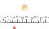Заглушка блоку циліндрів (d=16,5mm) Латунь/Brass IMPERGOM 40948 (фото 1)