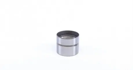 Гідрокомпенсатор INA 420 0062 10