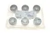 Гідрокомпенсатор VW T5/Caddy/Golf/Passat 1.9/2.5TDI 03- (35x26) (без DPF) INA 420 0273 10 (фото 2)