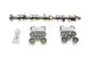 Комплект розподільчого валу VW T5 2.5 TDI 03-09, 96/120/128kw, (BNZ,AXD,BPC,AXE,BLJ) INA 428 0040 30 (фото 1)