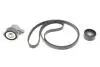 Комплект ременя генератора Renault Megane/Scenic 00-09, (5PK1750) INA 529 0082 10 (фото 1)