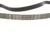 Комплект ременя генератора Audi A2/Seat Ibiza/Skoda Fabia/VW Golf/Polo 1.4/1.6/1.6FSI 97- (6PK 1078) INA 529 0103 10 (фото 2)