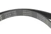 Комплект ременя генератора Mazda 3/6/CX-5 2.2D 12- INA 529 0119 10 (фото 5)