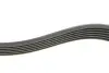 Комплект ремня генератора Skoda Fabia/VW Polo 1.0/1.6 14- (6PK989) INA 529 0160 10 (фото 3)