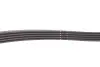 Комплект ременя генератора Renault Kangoo 1.5 dCi 01- (5PK1133) INA 529 0178 10 (фото 3)