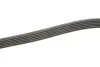 Комплект ременя генератора VW Caddy IV 1.6 15-20 (6PK1003) INA 529 0208 10 (фото 3)