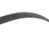 Комплект ремінця генератора MB C-class (W205) 14-18 OM651 (6PK1640) INA 529 0238 10 (фото 3)