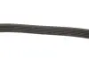 Комплект ремня генератора Citroen Jumper/Peugeot Boxer 2.0 HDi 15- (6PK1708) INA 529 0310 10 (фото 10)