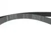 Комплект ременя генератора Renault Clio IV/Kangoo/Megane III/Scenic III 0.9/1.2 TCe 12- (7PK1605) INA 529031610 (фото 4)