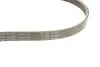 Комплект ремня генератора Citroen Jumper/Peugeot Boxer 2.2 HDi 06- (6PK1640/4EPK922) INA 529 0322 10 (фото 7)