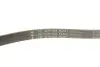 Комплект ремня генератора Citroen Jumper/Peugeot Boxer 2.2 HDi 06- (6PK1640/4EPK922) INA 529 0322 10 (фото 8)