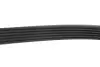 Комплект ременя генератора Chevrolet Cruze/Orlando/Opel Astra/Insignia 08- (6PK1555) INA 529 0327 10 (фото 6)