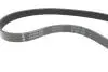 Комплект ременя генератора Citroen Berlingo/Jumpy/Peugeot Expert/Partner 1.6 HDi 08- INA 529 0335 10 (фото 2)