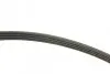 Комплект ременя генератора Renault Twingo 1.2 TCe 07- (4PK745) INA 529 0408 10 (фото 2)
