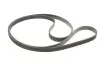 Комплект ременя генератора Land Rover Discovery/Range Rover Sport I 2.7D/3.0D 04-18 (6PK2100) INA 529 0422 10 (фото 2)