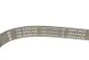 Комплект ременя генератора Land Rover Discovery/Range Rover Sport I 2.7D/3.0D 04-18 (6PK2100) INA 529 0422 10 (фото 4)