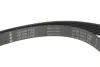 Комплект ременя генератора Renault Megane II 2.0 dCi 05-09 (7PK1705) INA 529 0423 10 (фото 7)