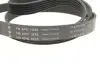 Комплект ременя генератора Land Rover Discovery/Range Rover 2.0D 14- INA 529 0426 10 (фото 9)