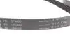 Комплект ременя генератора Ford Focus 2.5 ST 05-12, (5PK890 + 5PK848) INA 529 0477 10 (фото 2)