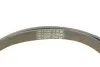 Комплект ремня генератора BMW 3 (E90)/X1 (E84) 04-15 M47/N47 (6PK1780) INA 529 0510 10 (фото 5)