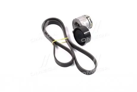 Комплект ременя генератора Renault Kangoo 1.5 dCi 01- (5PK 1200) INA 529 0511 10